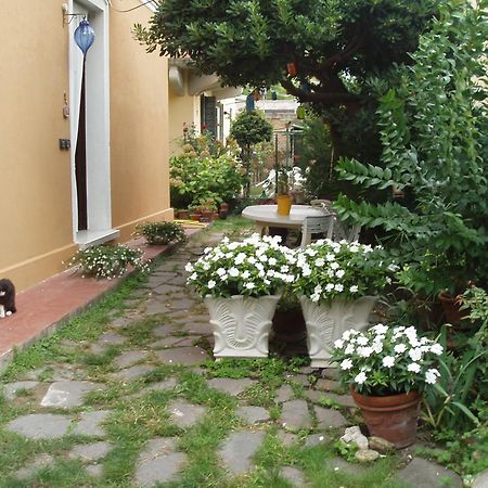 Perla B&B Lido de Venecia Exterior foto